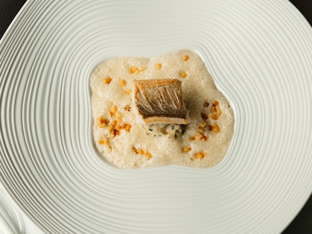RJ-Hamachi.jpg