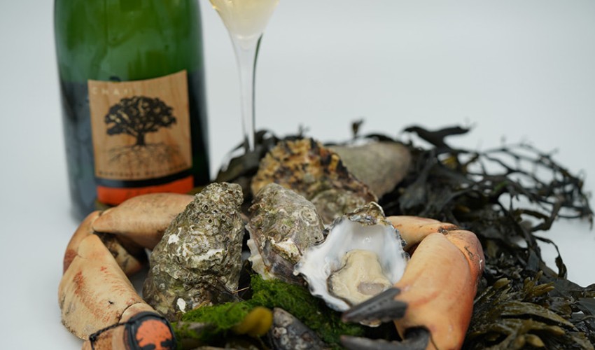 oesters.jpg