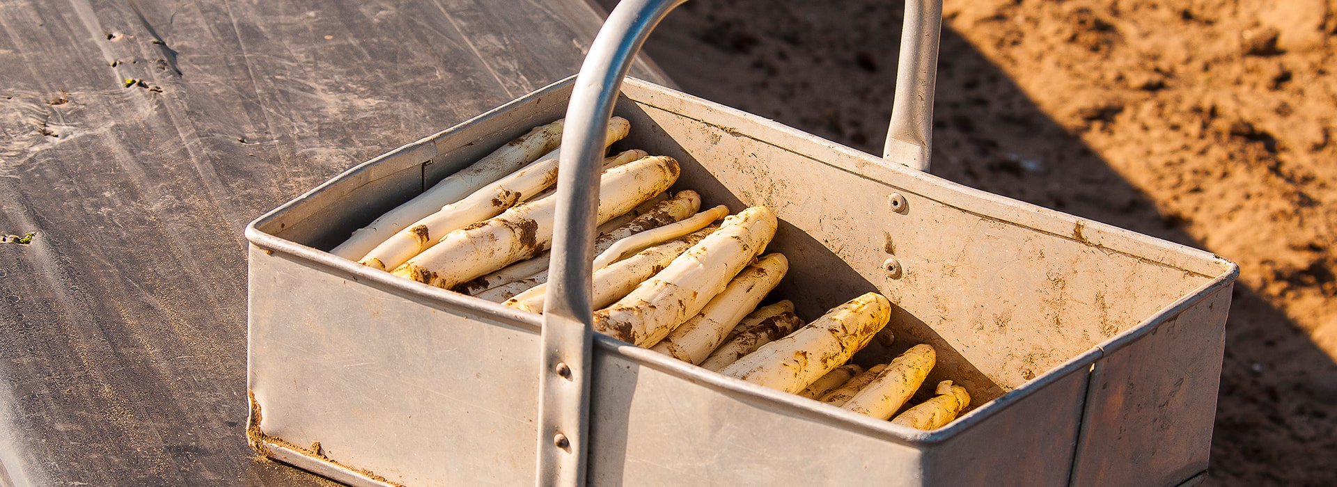 asperges.jpg